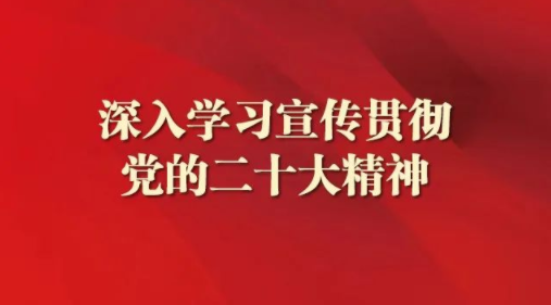 踔厉奋发加油干——松阳县人民检察院学习党的二十大精神系列之三